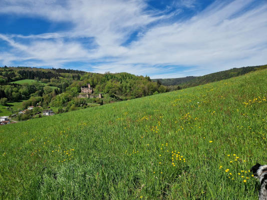 Burgruinenblick im schonen odenwald