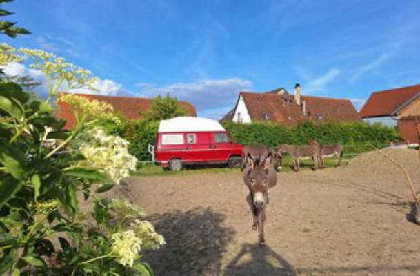 Camping on the Eselhof