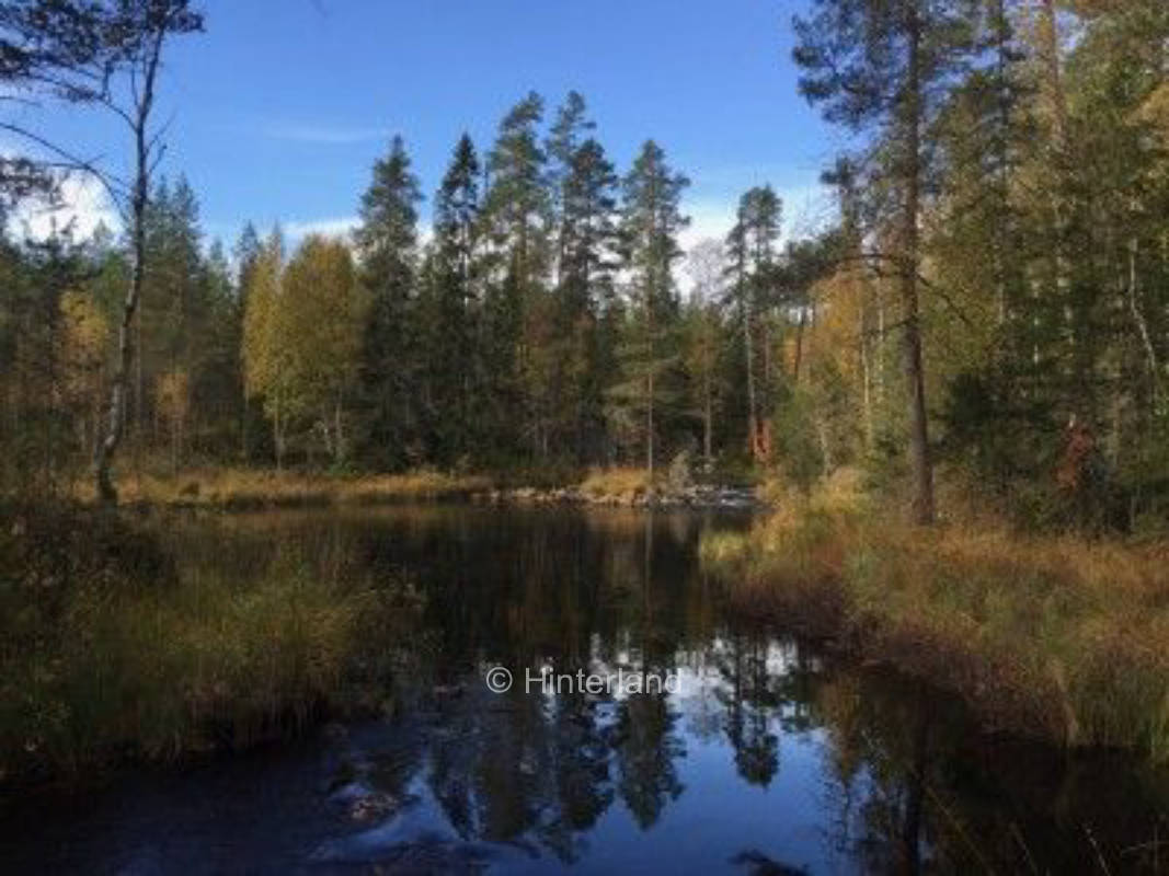 Schweden hautnah in der Bergslagen-Region, privater Stellplatz