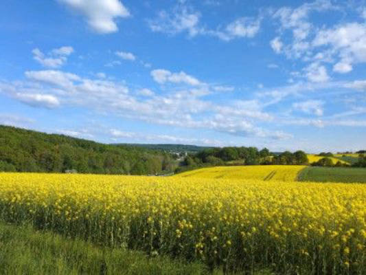 Blick in die Landschaft über dem Siebenmühlental