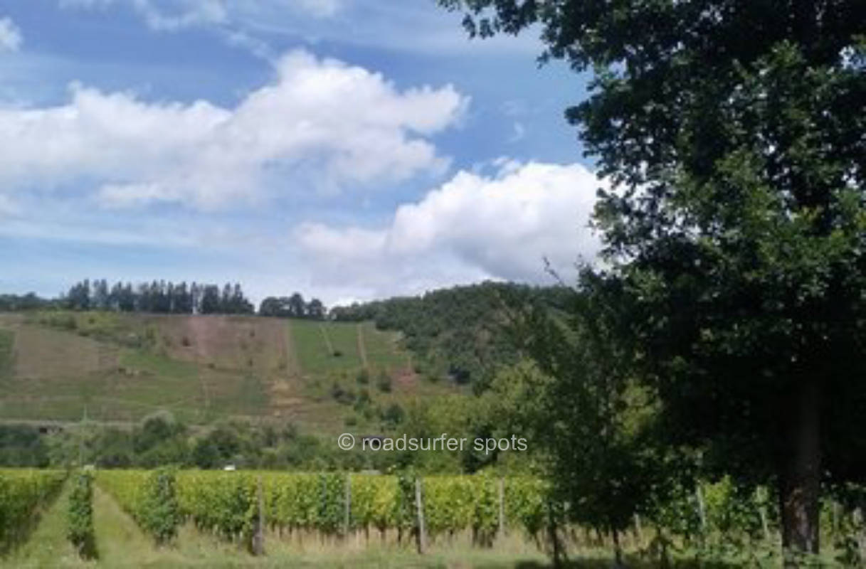 Camping Stellplatz mit Blick auf die Weinberge