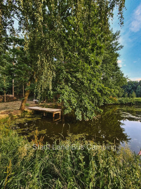 At the pond 2