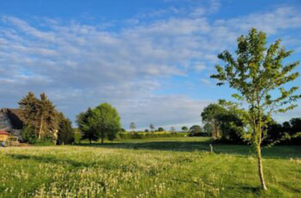 Camping Hof Treptow 