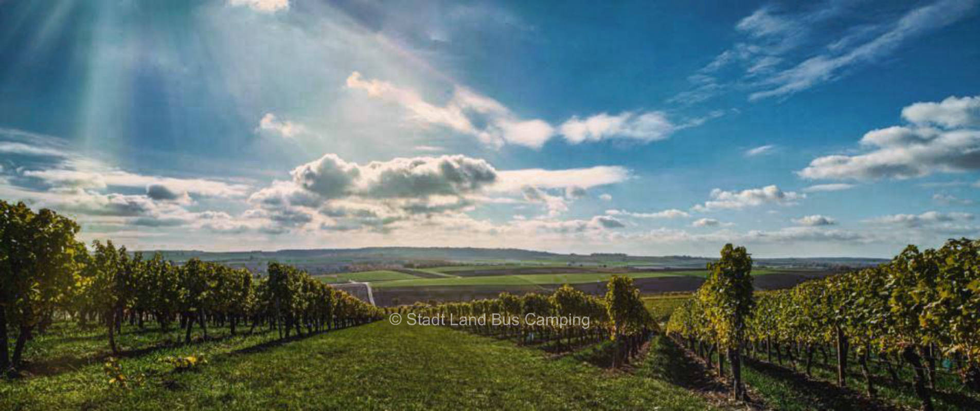Weingut Lother drei
