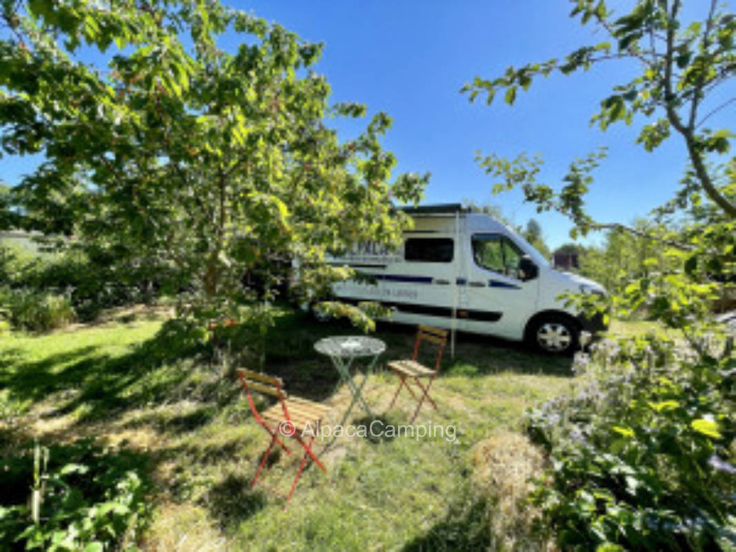 nice pitch in the garden near Schaalsee/Zarrentin