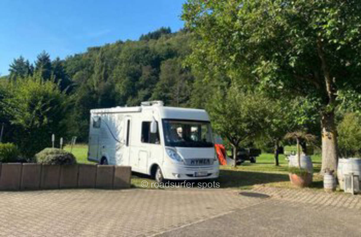 Natural meadow on the winery