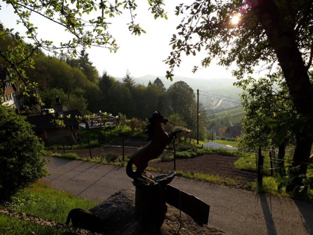 Wanderreitstation Simmehof Vogesenblick in Kappelrodeck, Baden-Württemberg