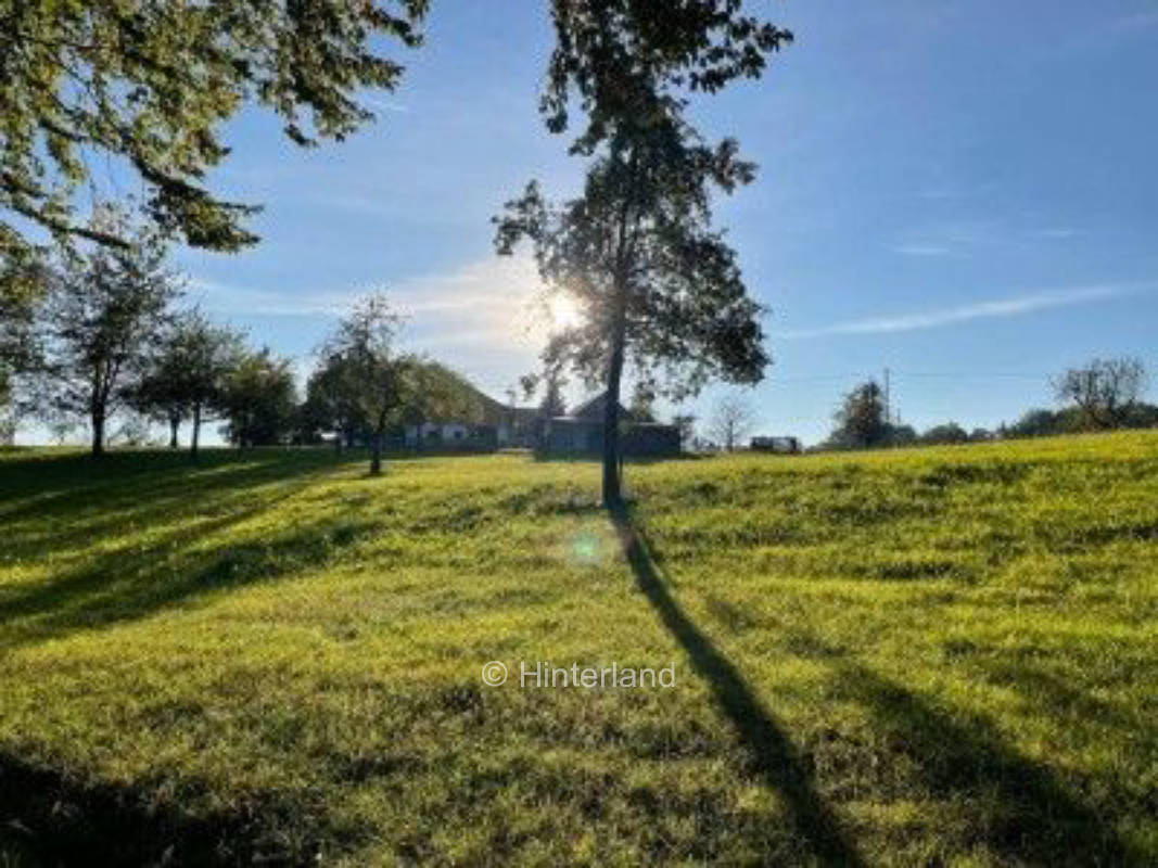 "Into the wild" im schwäbischen Wald 