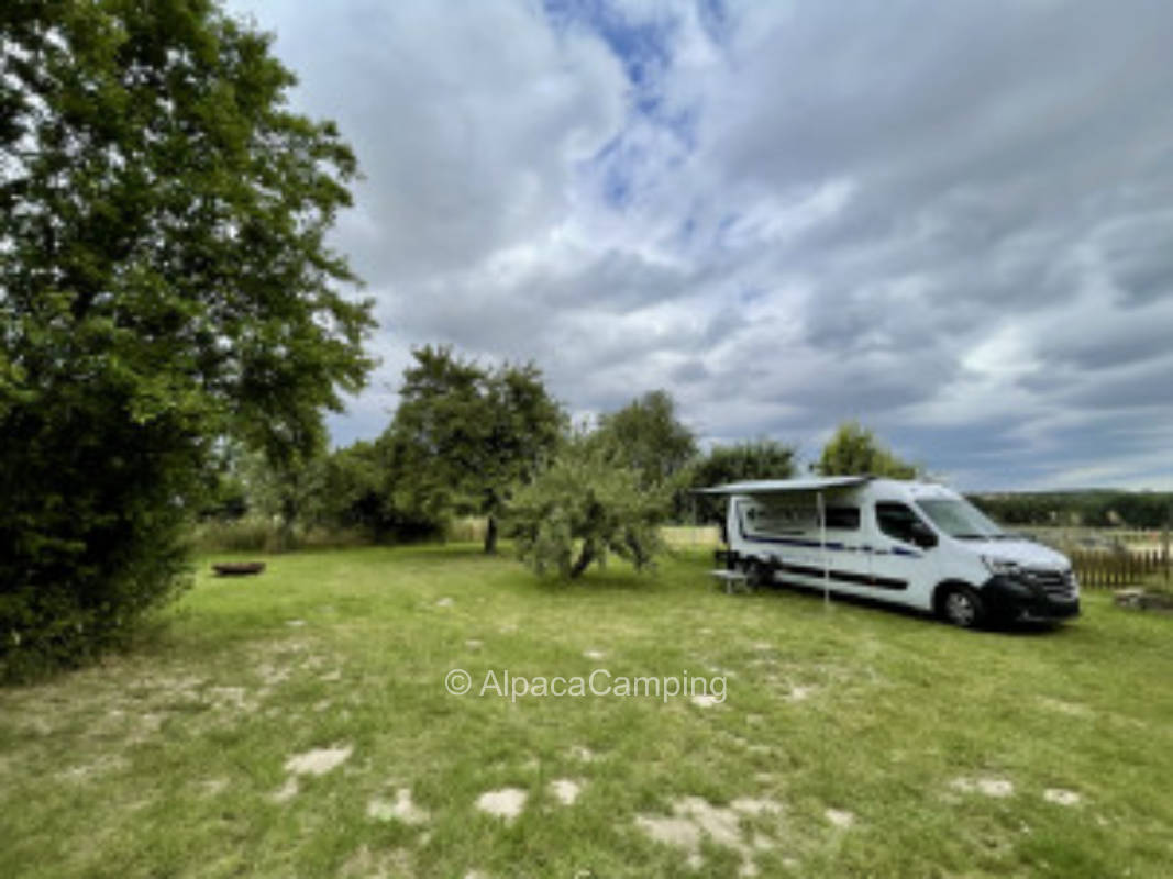 Pitch Limbach near Dresden #3