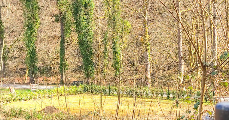 Villa Schöneck an der Sieg