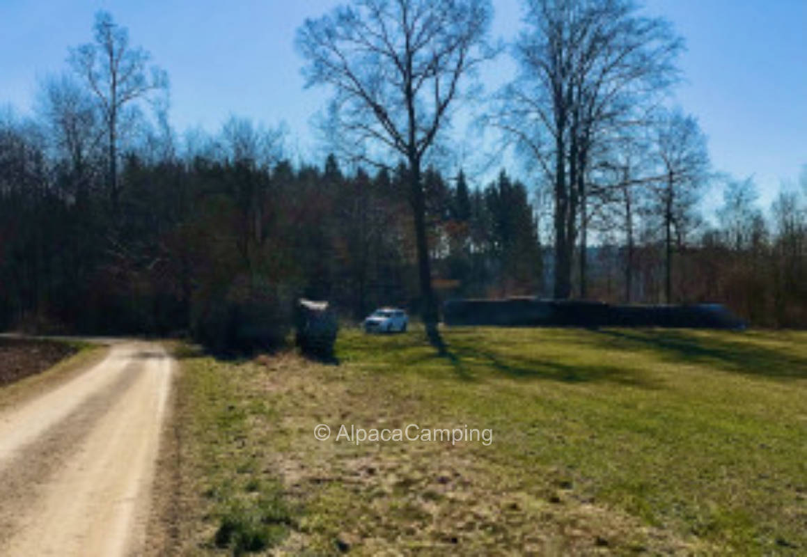 Stellplatz an der Waldwiese #2