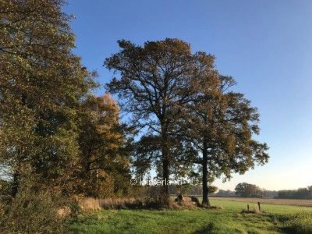 Wild(nes) camping in absolute solitude