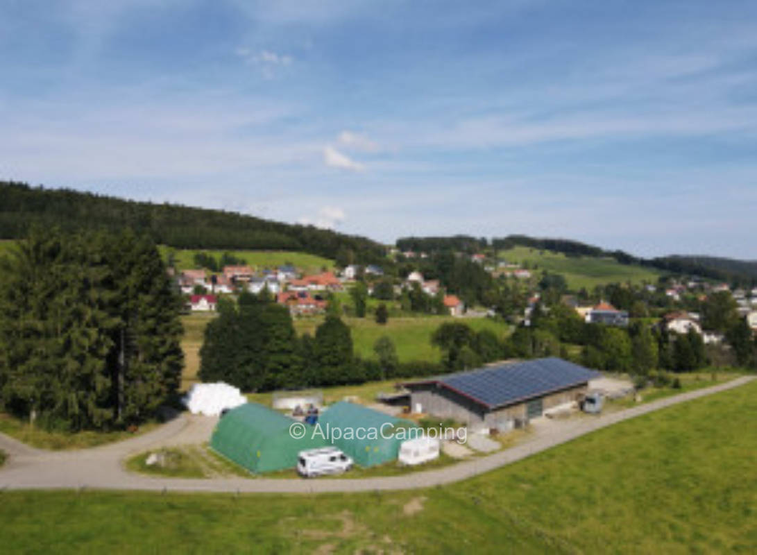 Ruhiger Stellplatz neben einem idyllischen Feld auf einem Hof #3