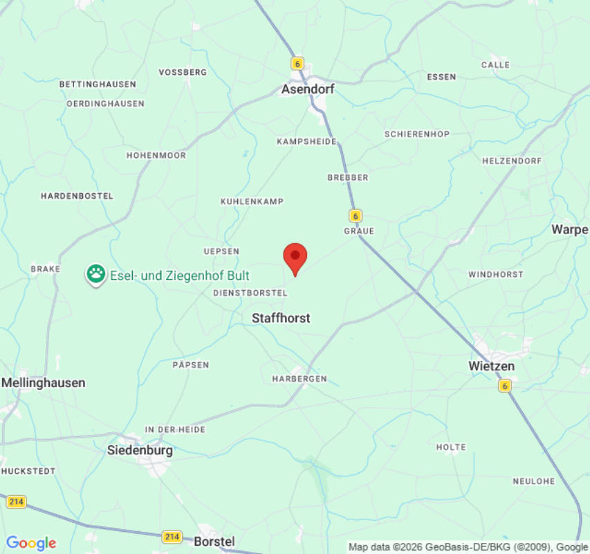 Platztyp für 4 Personen (Campspace 30060)