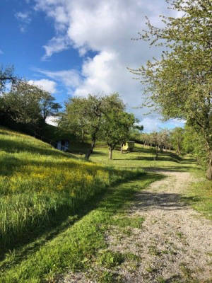 Camping auf dem Demeter Hof im Nordschwarzwald