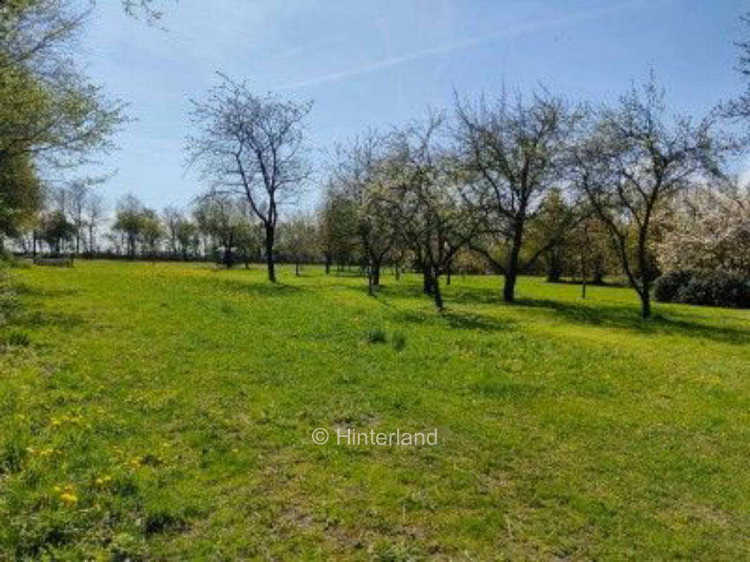 Natur, Kunst und Gemüse - Nahe Mariagerfjord