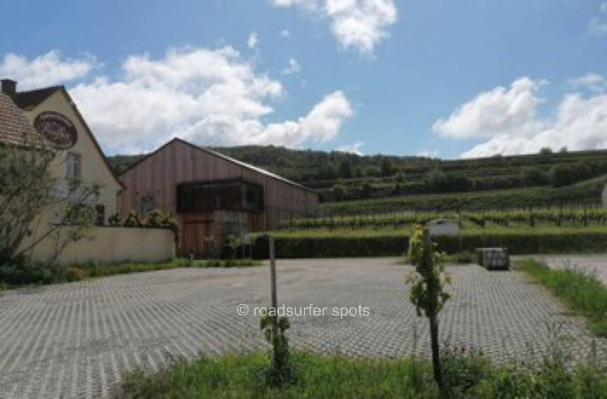 Camping Stellplatz am Weingut Rieflin