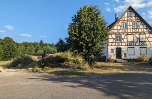 Farm pitch next to an orchard with forest view
