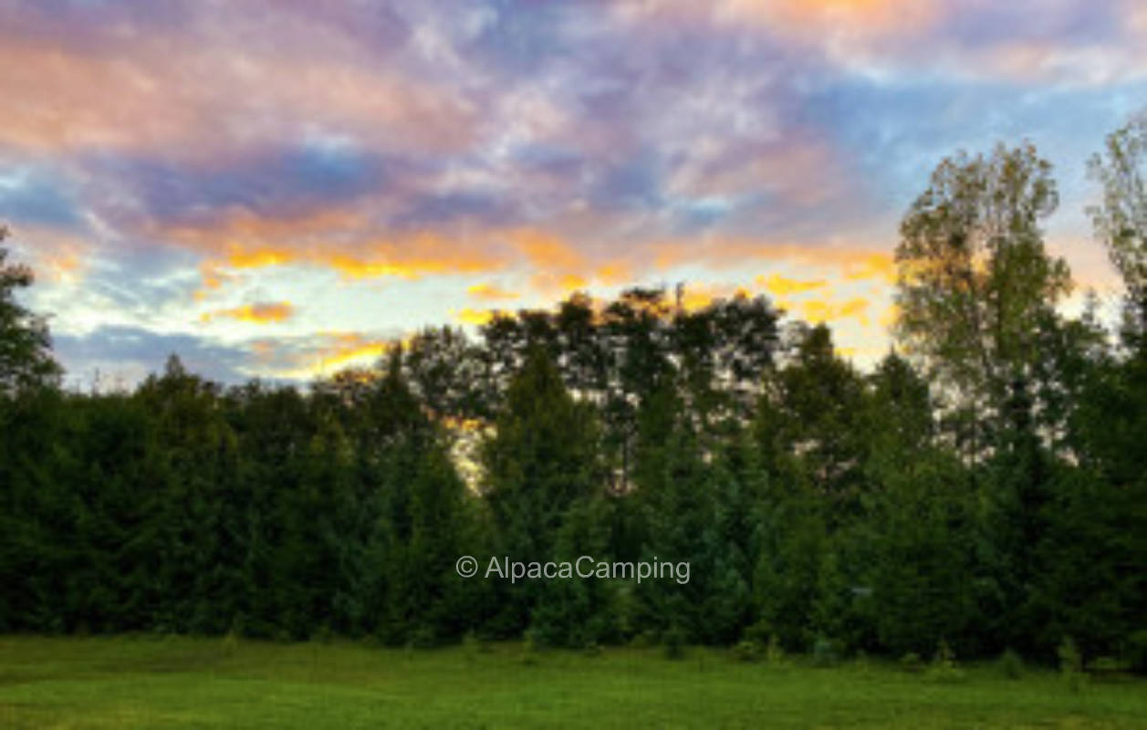 Lausitzer Seenland / Senftenberger See / Lausitzring