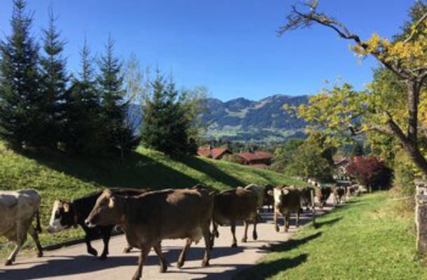 Motorhome parking Sunnesidde in Oberallgäu