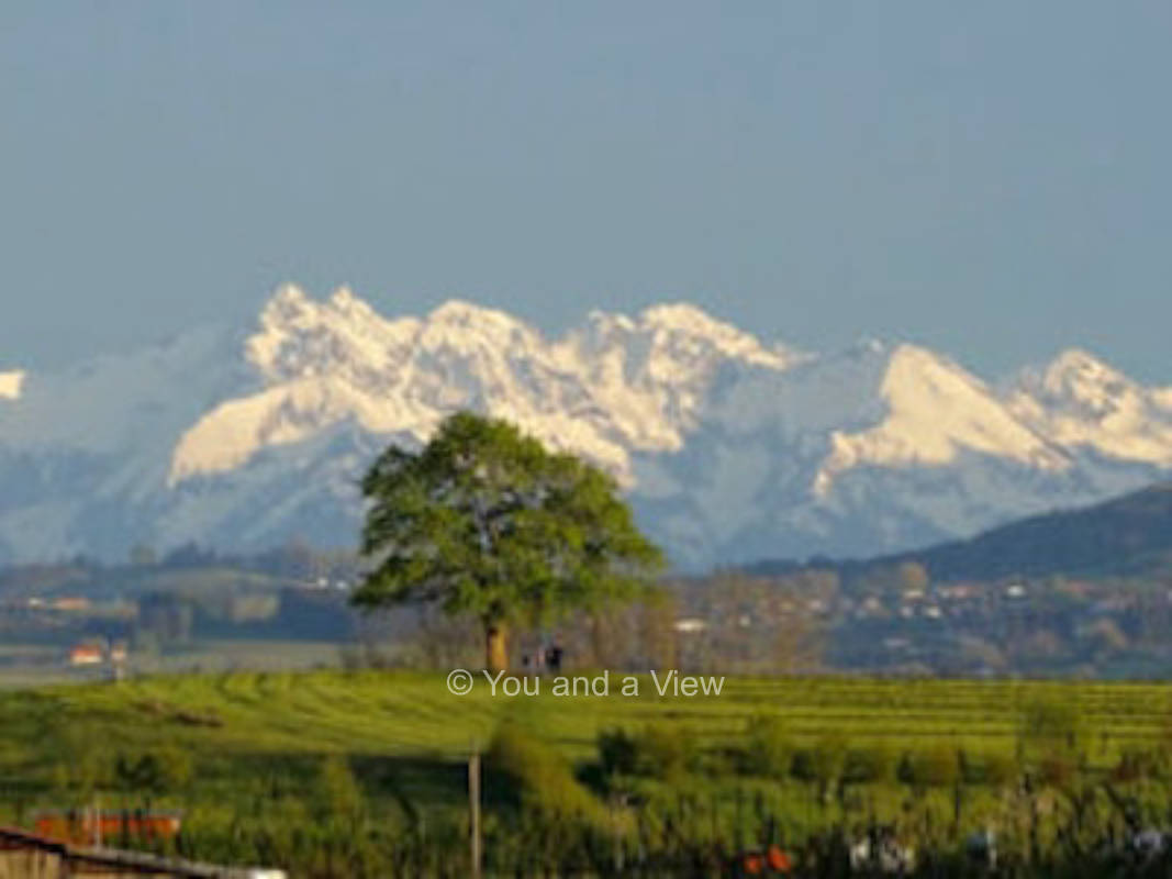 Alpenblick im Allgäu