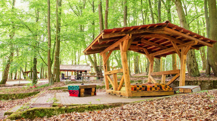 Wald shelter im buchengrun