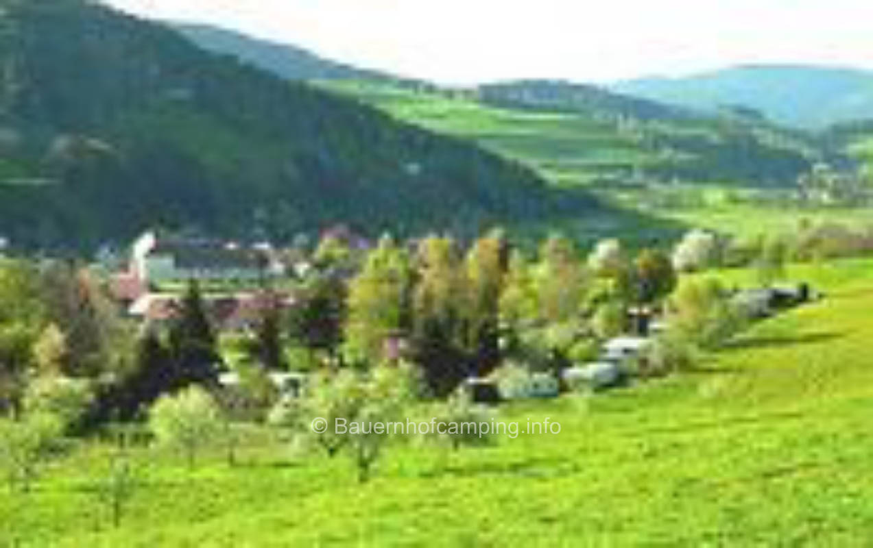 Black Forest Kirnermartes