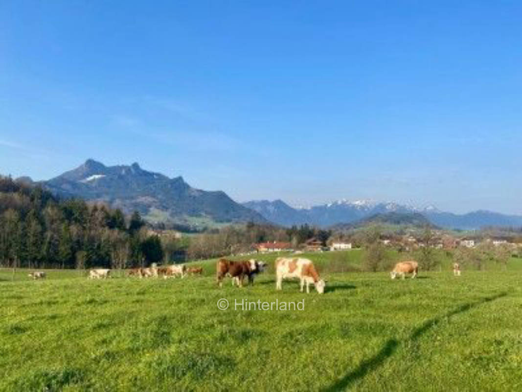 Bio-Hof am Samerberg: Zwischen Chiemsee & Alpen