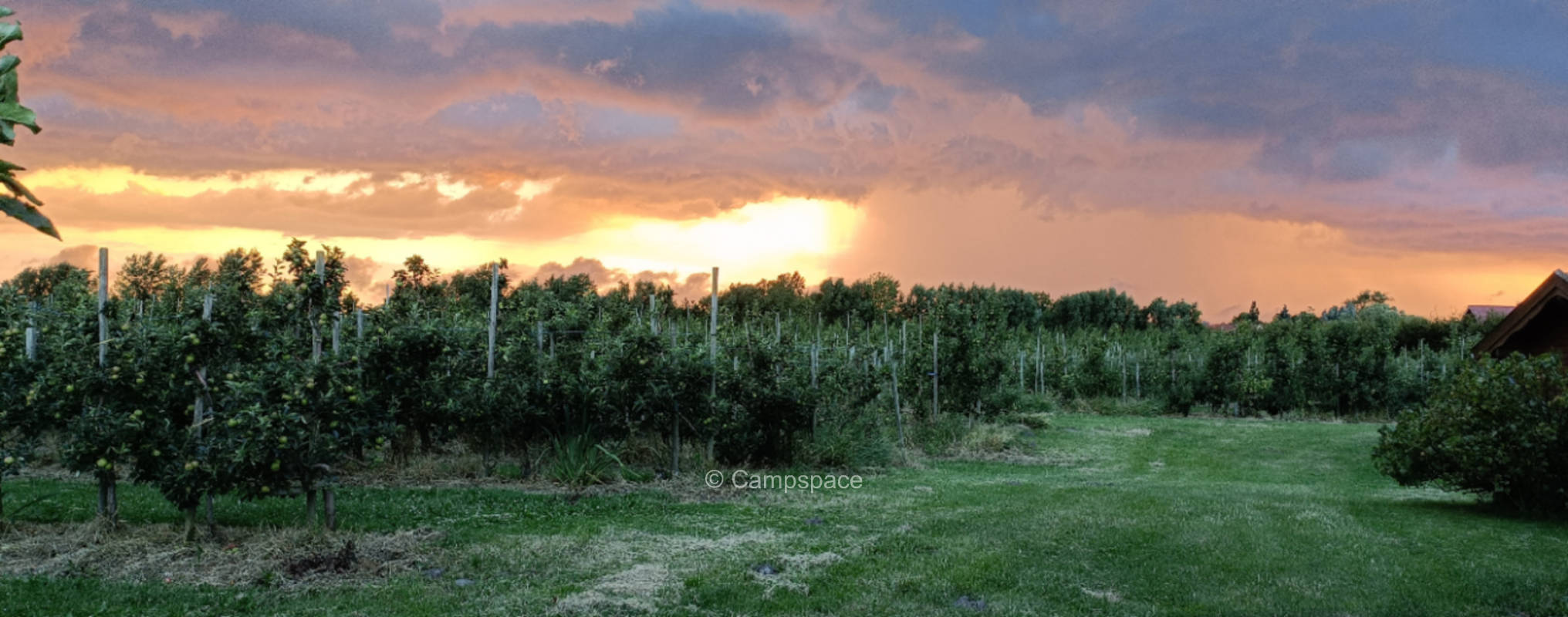 Auszeit in der Obstanlage (Campspace 9134)