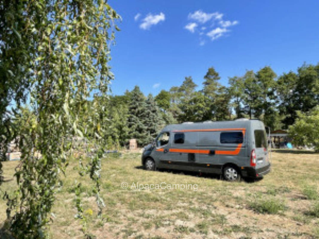 In a quiet location directly on the forest #1