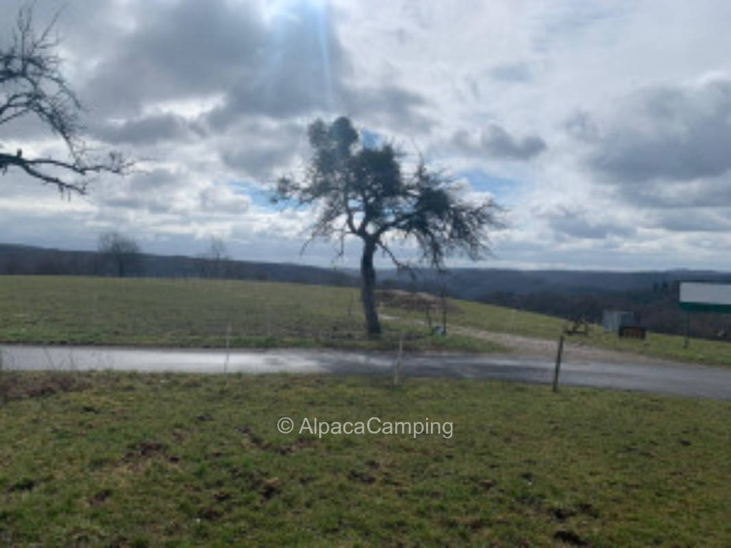 Stellplatz am Feldrand #2