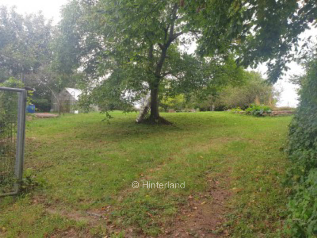 Entspannung und Natur pur in der schönen Pfalz
