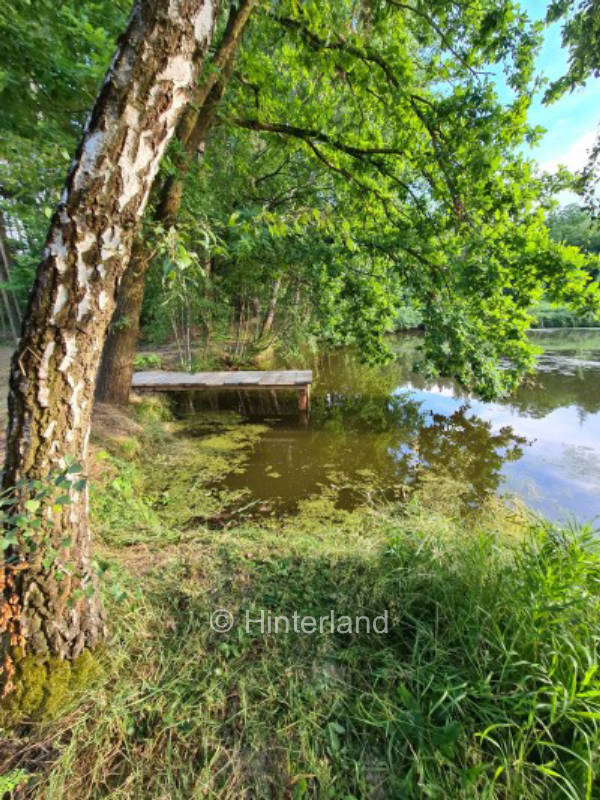 Stellplatz direkt am Weiher am Waldrand 