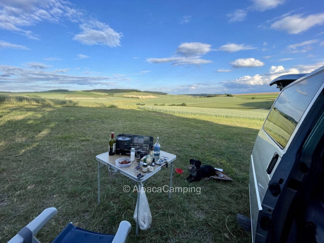 AlpacaCamping 762