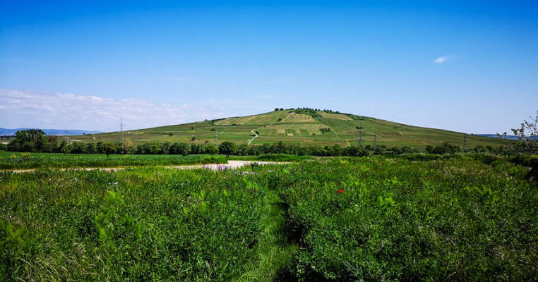 Auszeit mit Blick auf Felder und Weinberge
