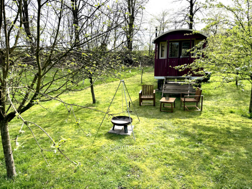 Nature camping with yoga in Münsterland