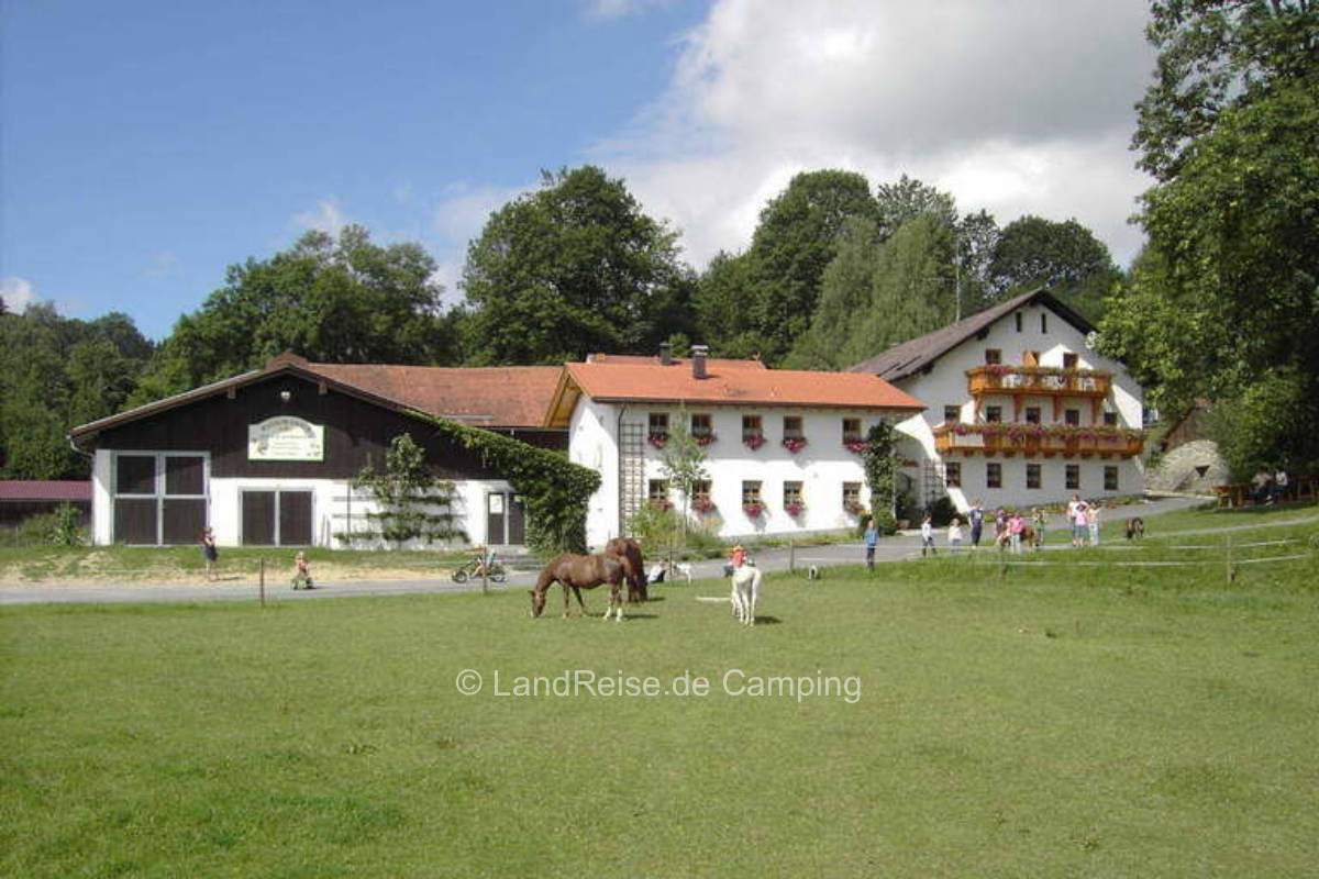 Idyllic pitch on the organic adventure farm