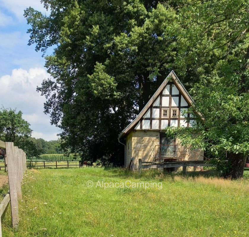 AlpacaCamping 5419