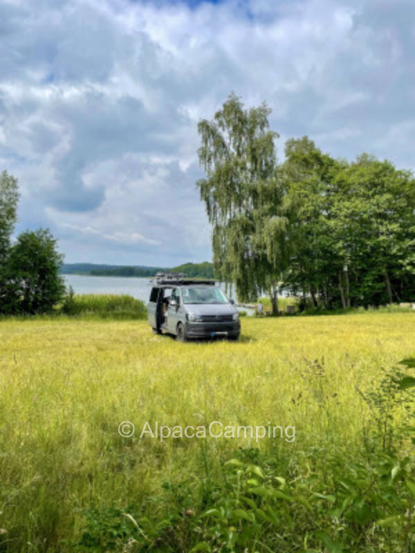 Directly at the bathing place at Sternhagen Lake (For nature lovers and anglers) #1