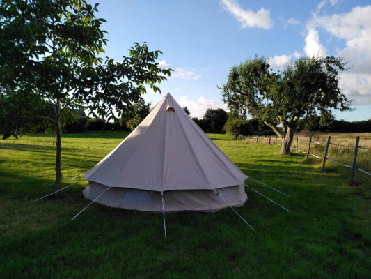 Natural campsite or campground for up to 6 people (Campspace 25473)