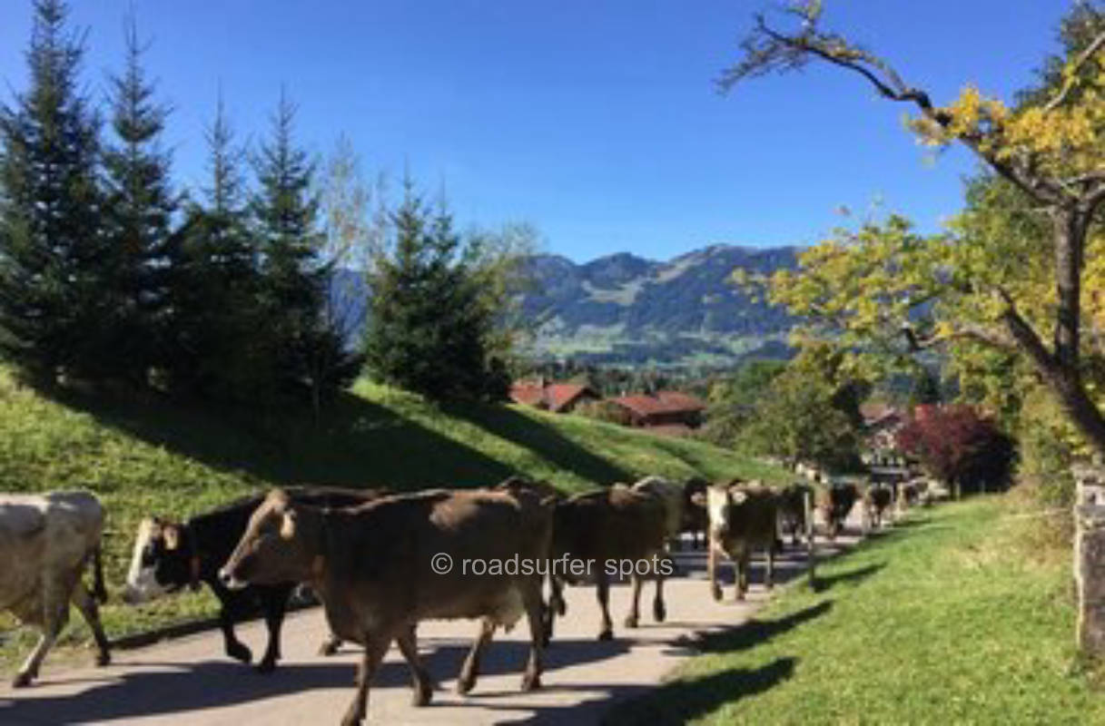 Wohnmobilstellplatz Sunnesidde im Oberallgäu