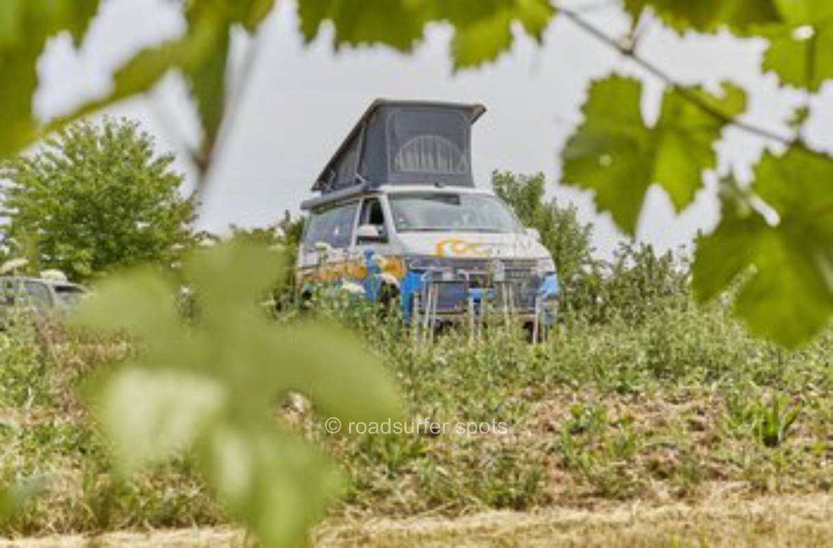 Wine and sparkling wine estate in Ingelheim