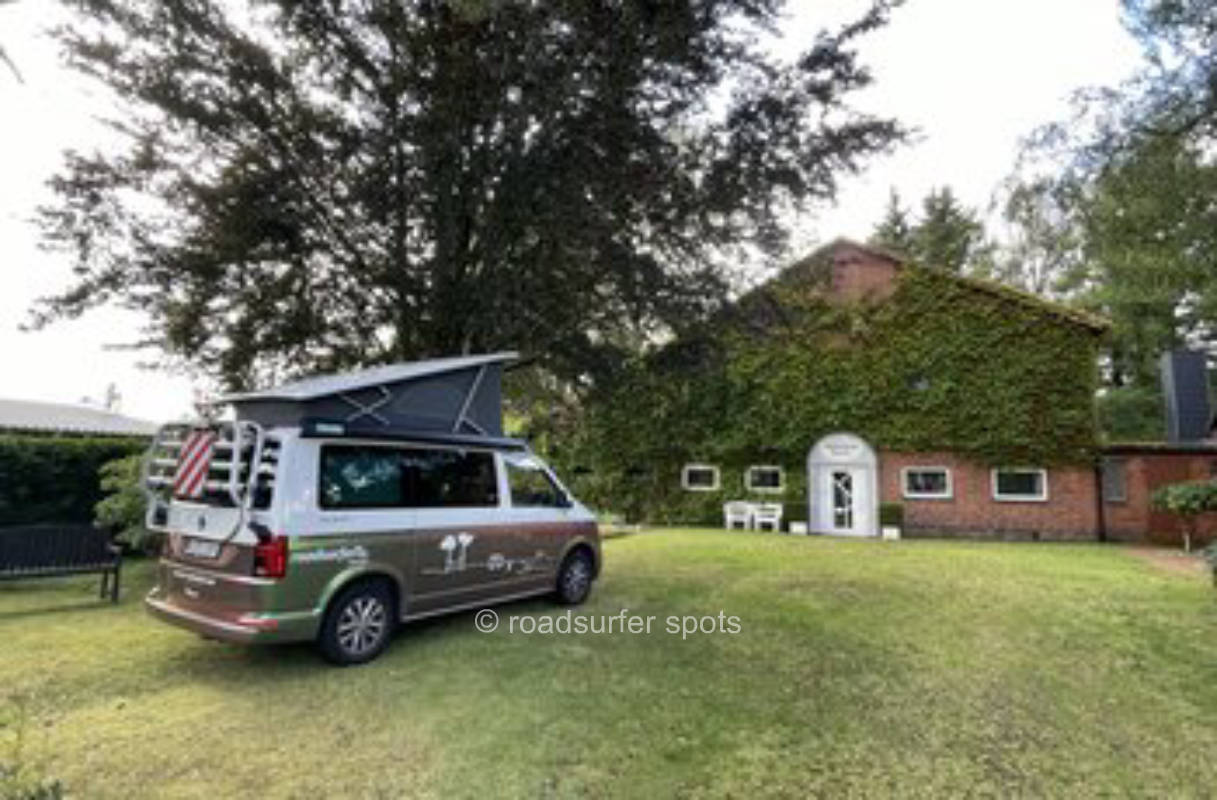 Camping unter der Rotbuche 