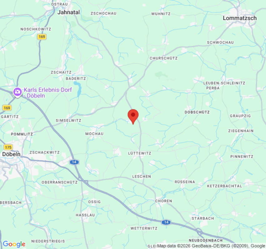 Kornkäfer (Campspace 22568)