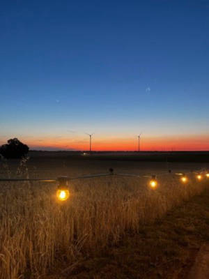 Pitch at the vineyard