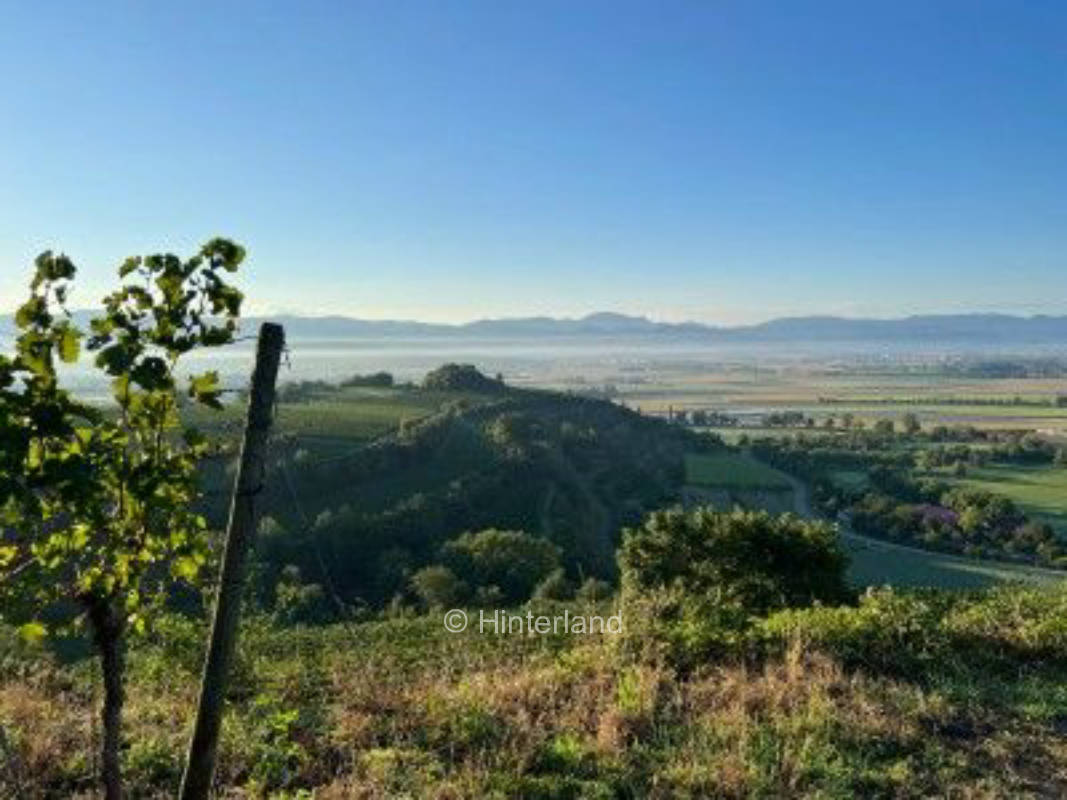 Einmalig - übernachten in mitten der Weinberge 