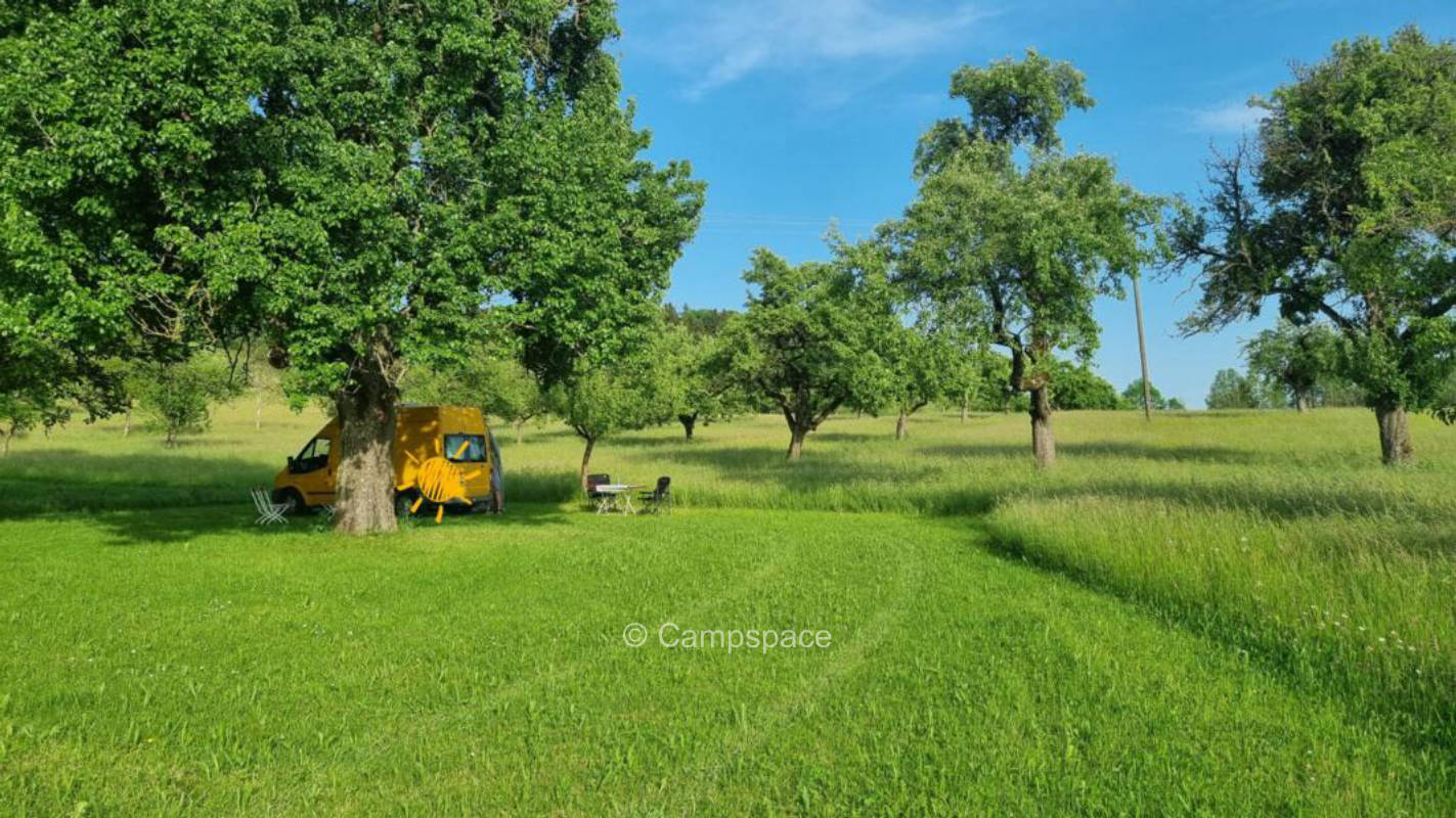 Unter alten Bäumen - mit Blick ins Tal
