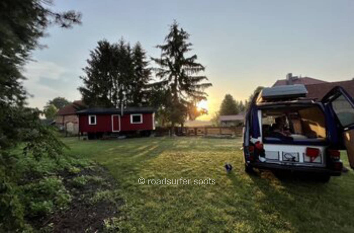 Camping unter Bäumen in der Nähe von Tieren