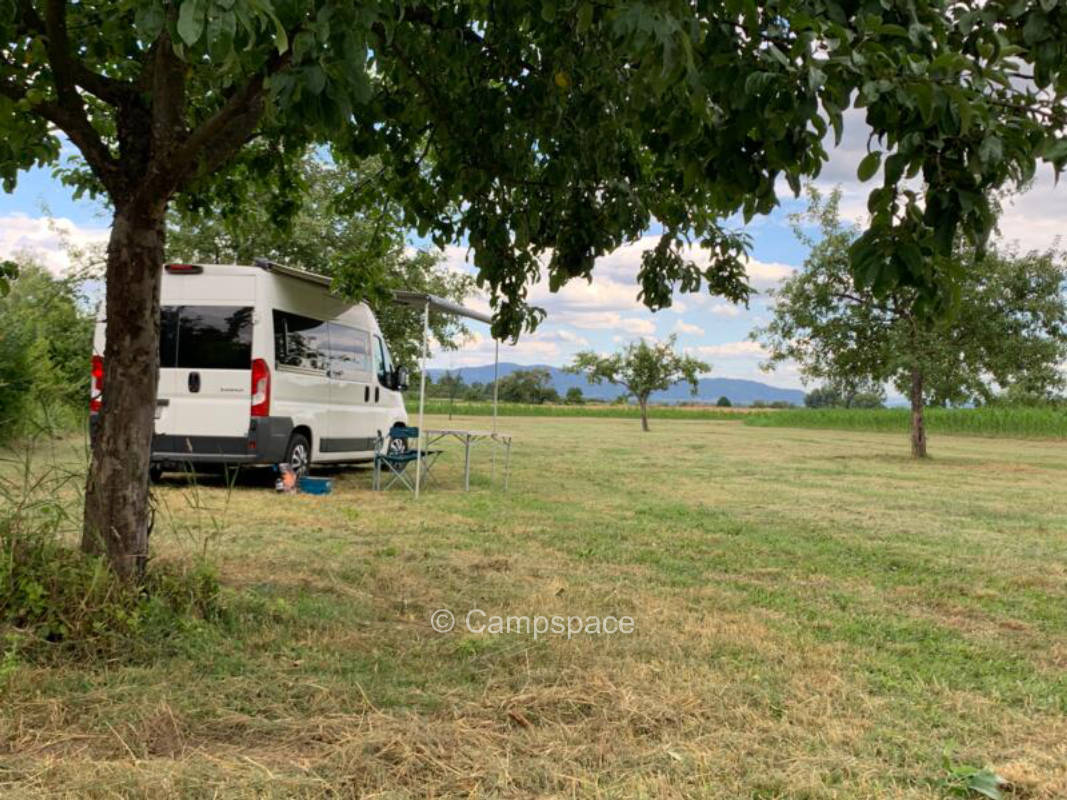 Schlafen unterm Apfelbaum