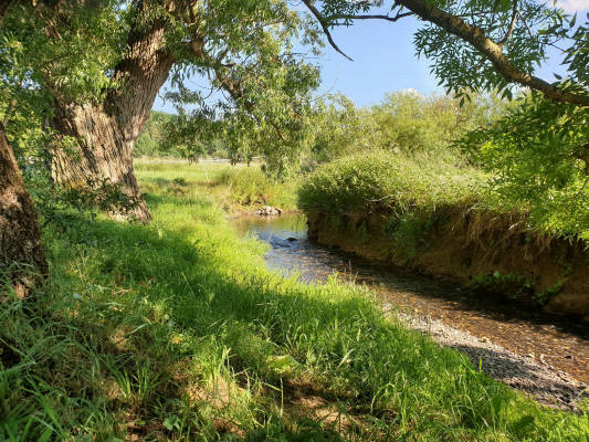Beautiful meadow on two small streams